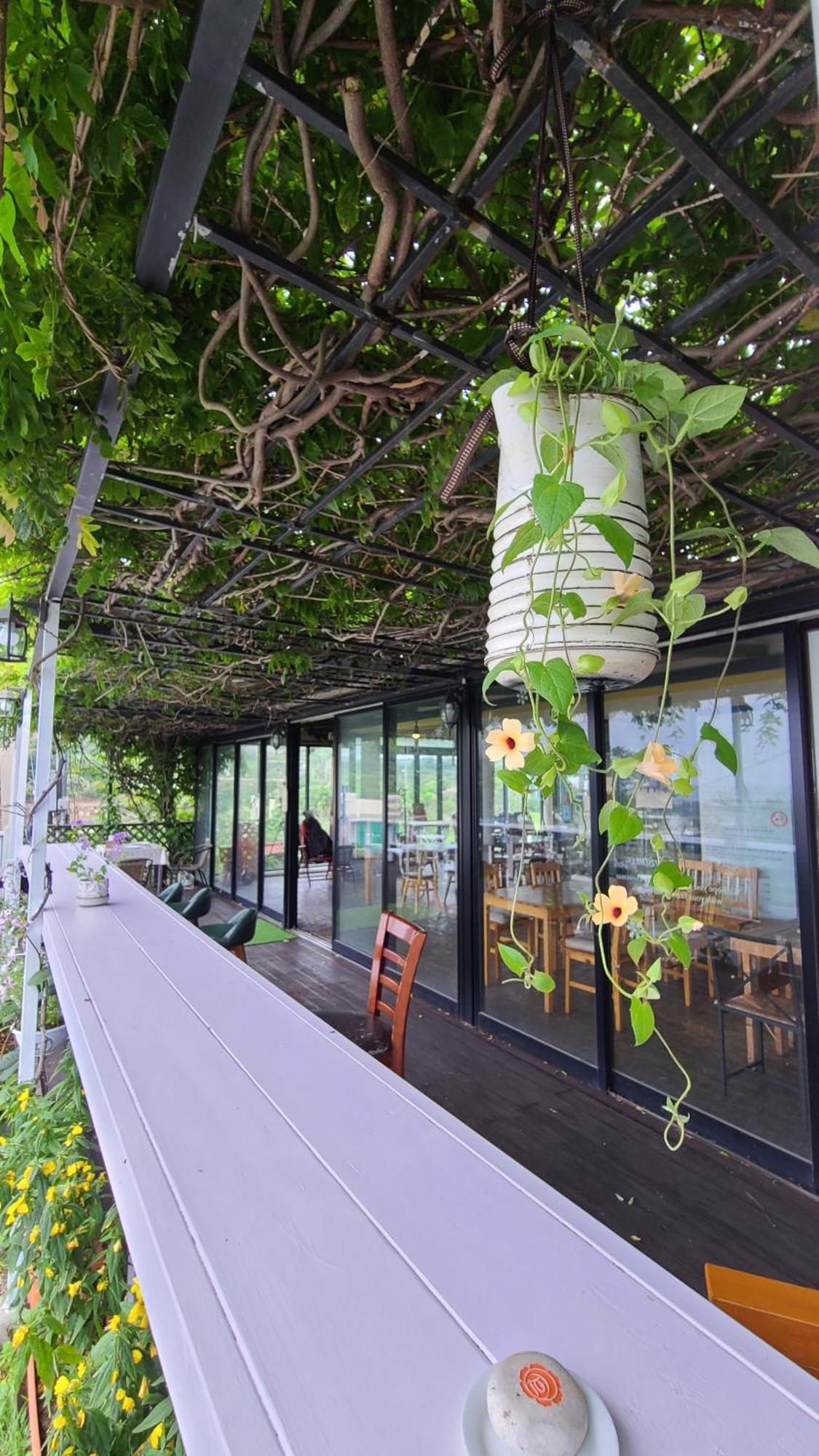 Jeju Doldam B&B Seogwipo Zewnętrze zdjęcie