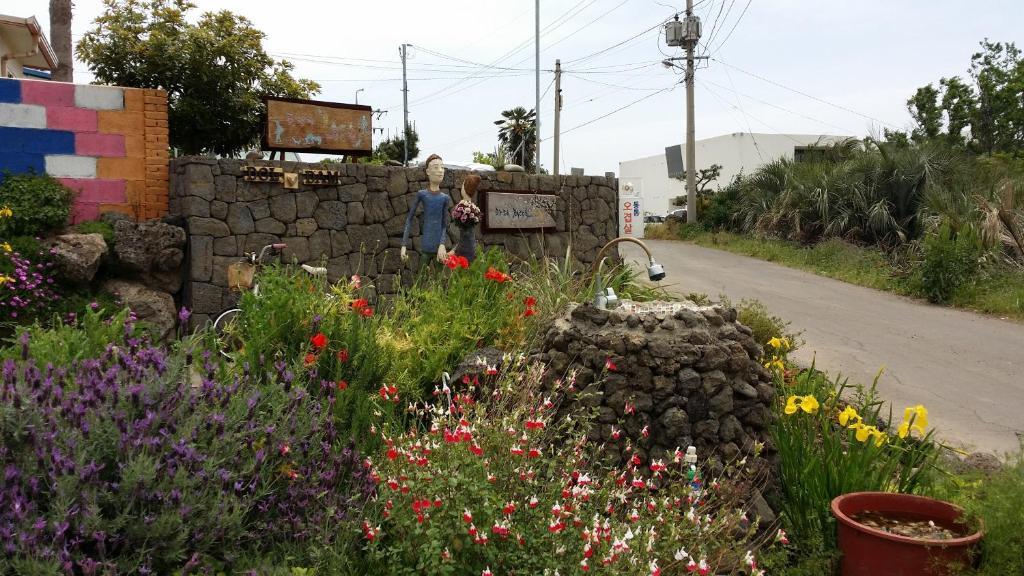 Jeju Doldam B&B Seogwipo Zewnętrze zdjęcie